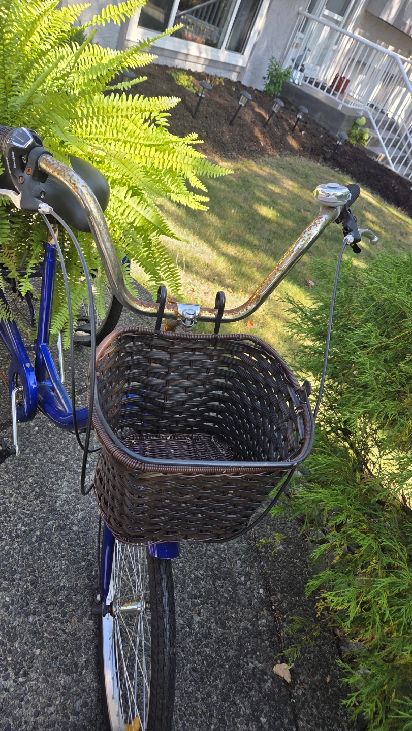 Blue Adult Tricycle  with Fern & Basket - photo 2