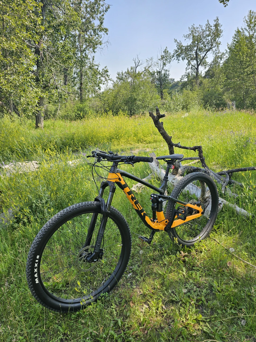 Trek Fuel EX-5  Full Suspension Mountain Bike - Yellow/Darkgray