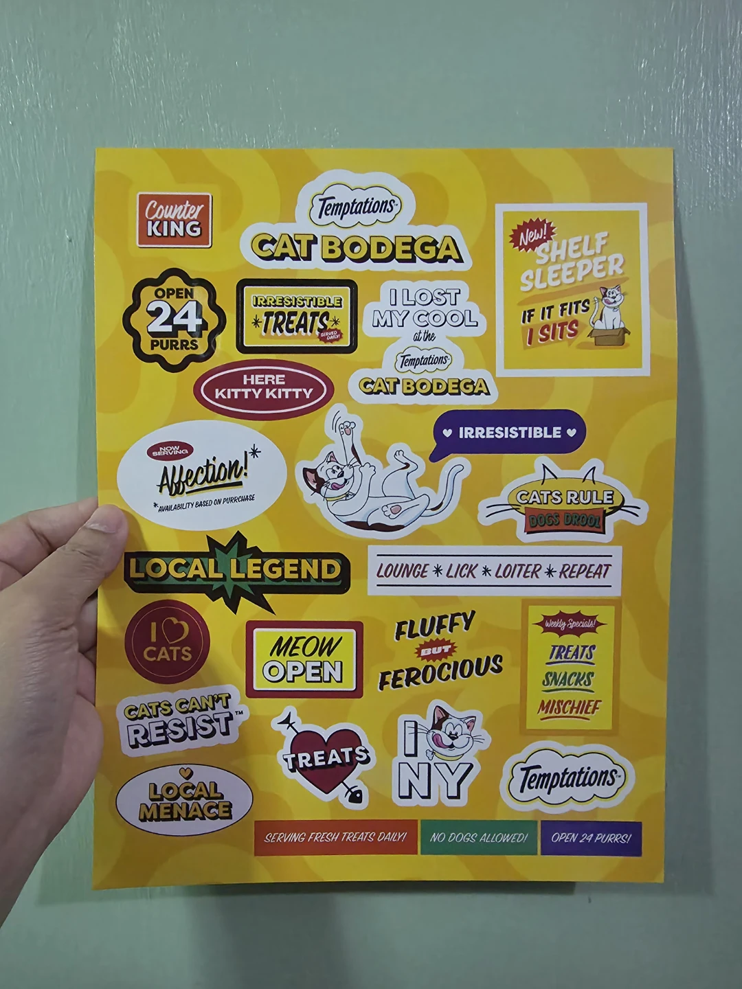 Temptations Cat Bodega Sticker Sheet 🏈