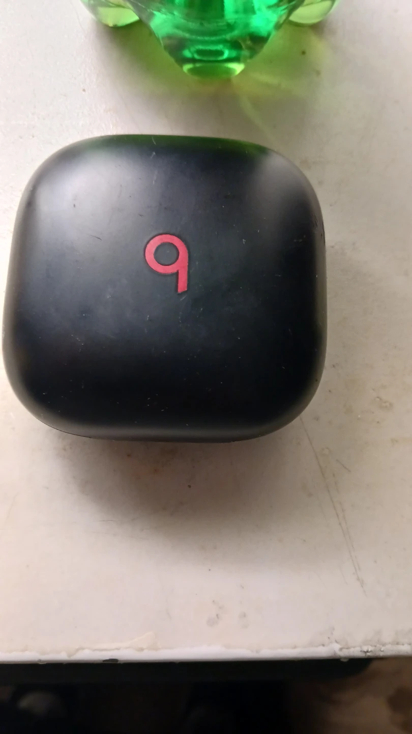 Beats Fit Pro Charging Case