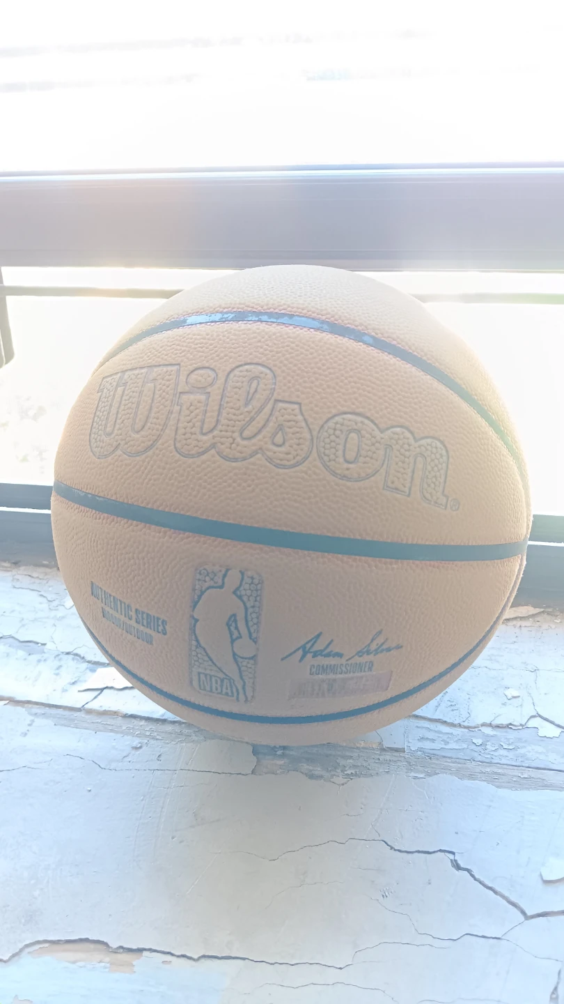 Wilson NBA Authentic Series Basketball
