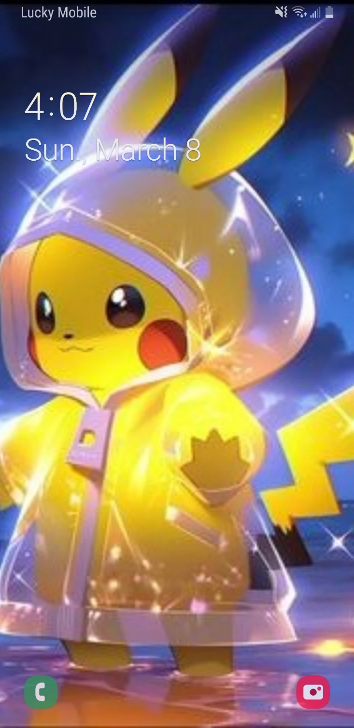 Pokemon card mystery box.