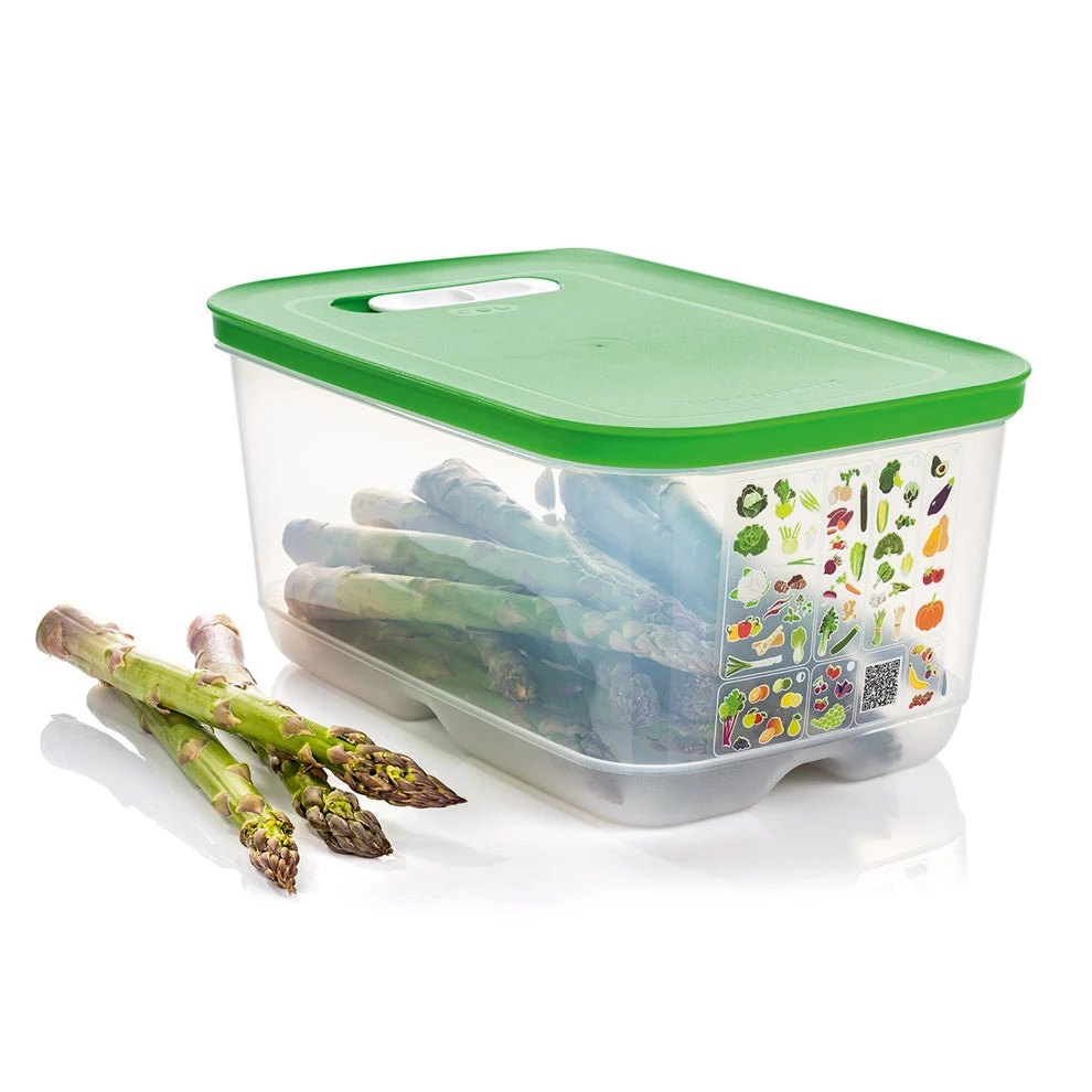 Tupperware® FridgeSmart® Medium Deep