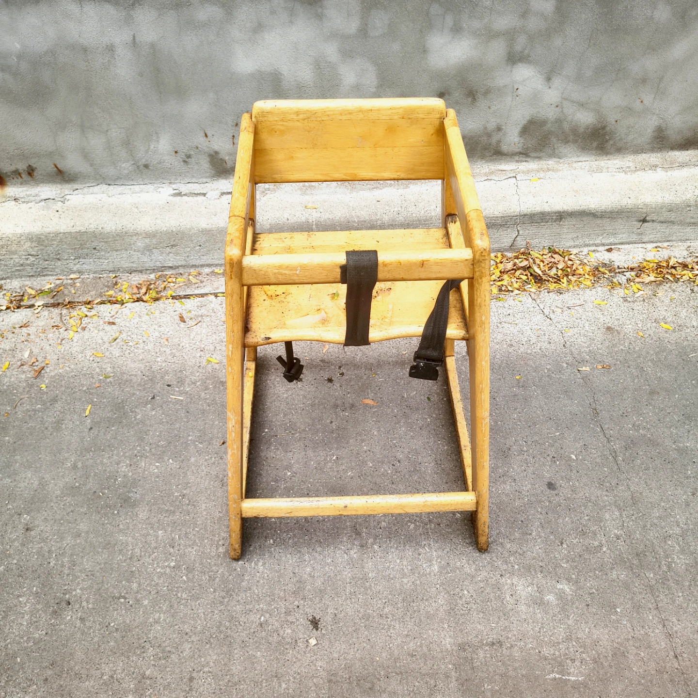 Toddler's Safety Chair  _ Pine and black strap
