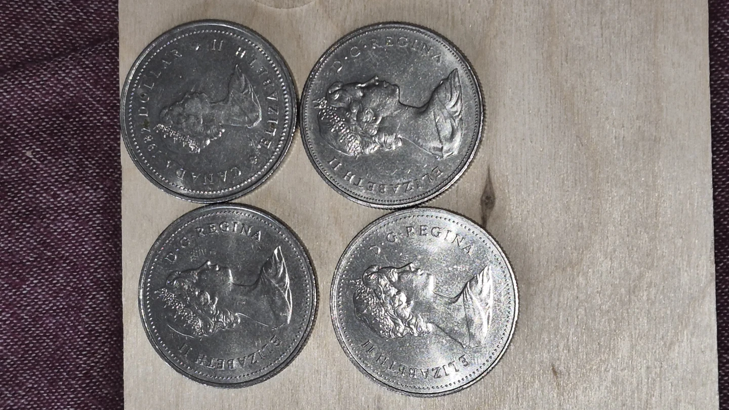 50 cents and Dollars Voyageurs - photo 4