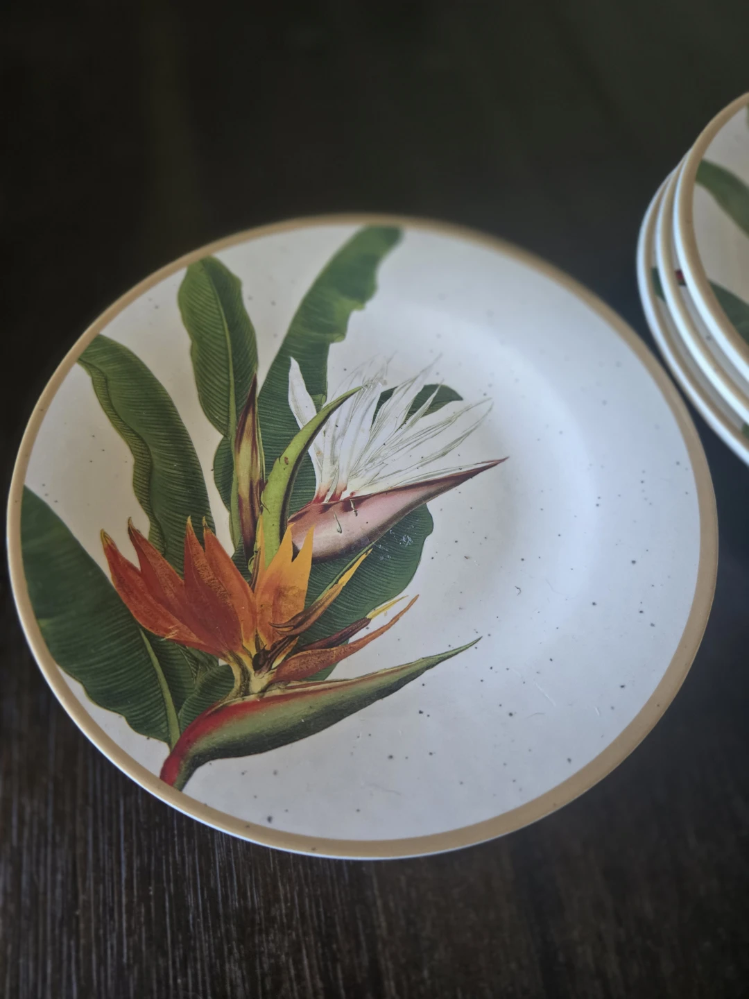 4 Melamine Plates - Bird of Paradise Flower Design