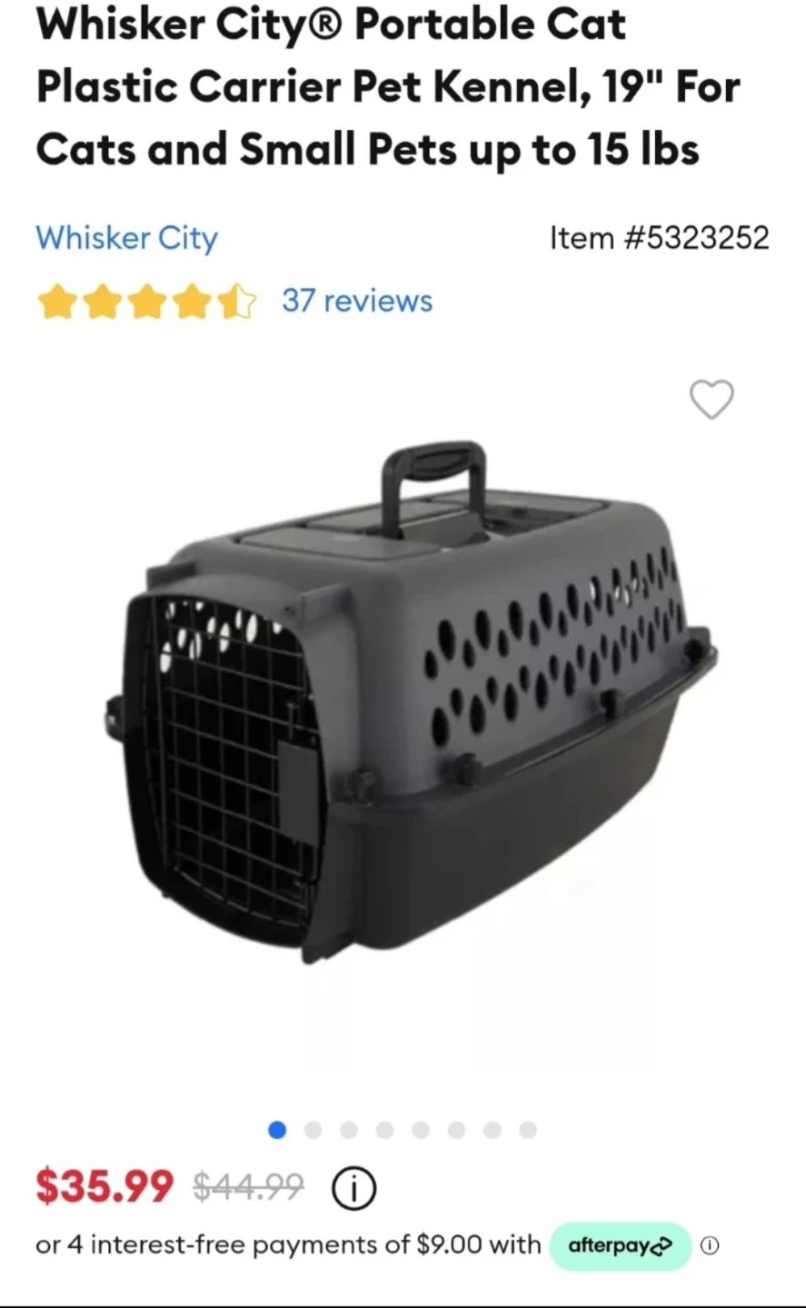 Cat supplies bundle including carrier, litter, and bedding - photo 4