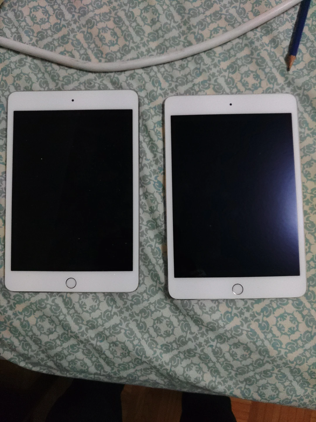 Two Apple iPad mini tablets 100$ each Password forgotten.