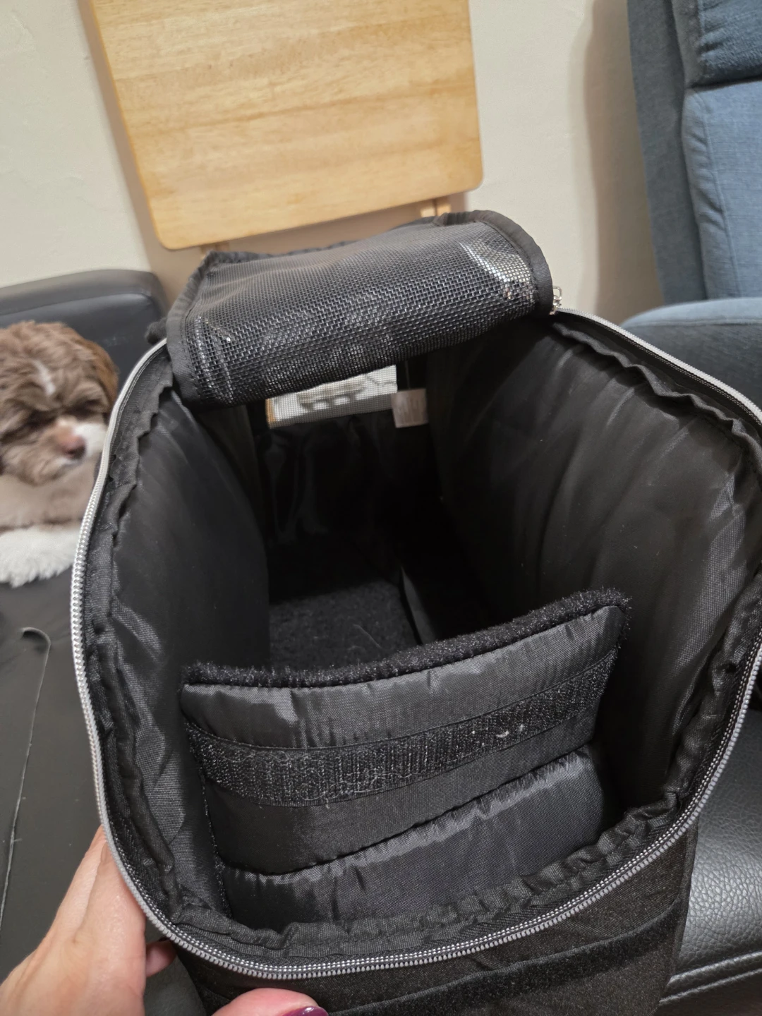 Becini Pet Carrier - photo 2