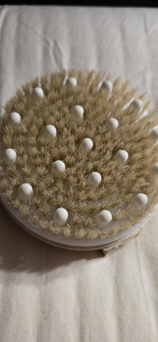 Dry Body Brush with Bristles Nodes
