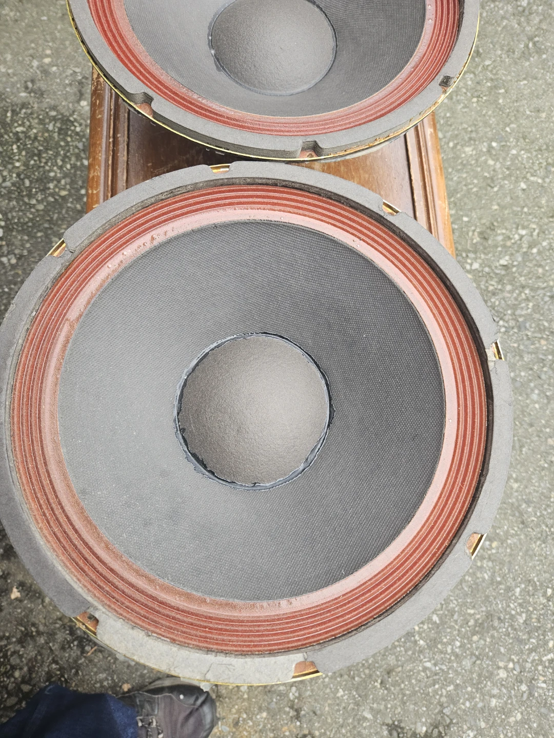 Two 11-inch loudspeaker drivers - photo 3