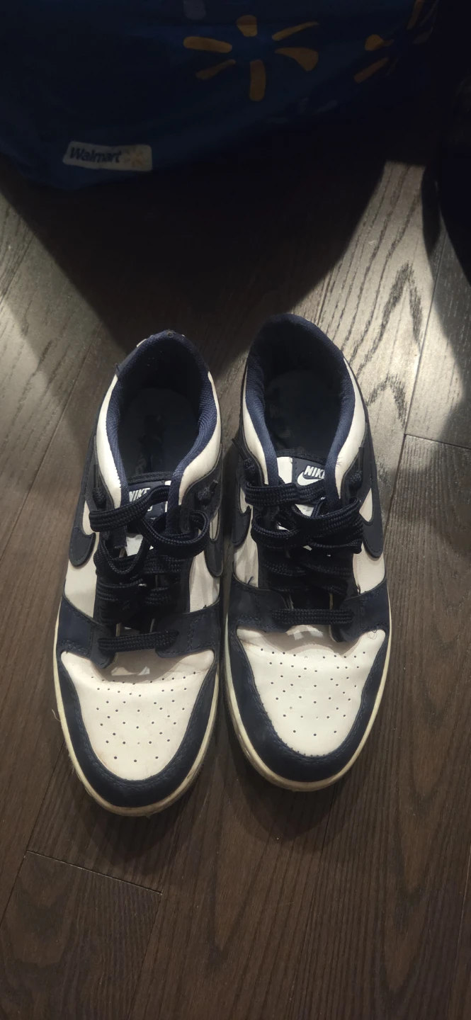 Nike SB Sneakers