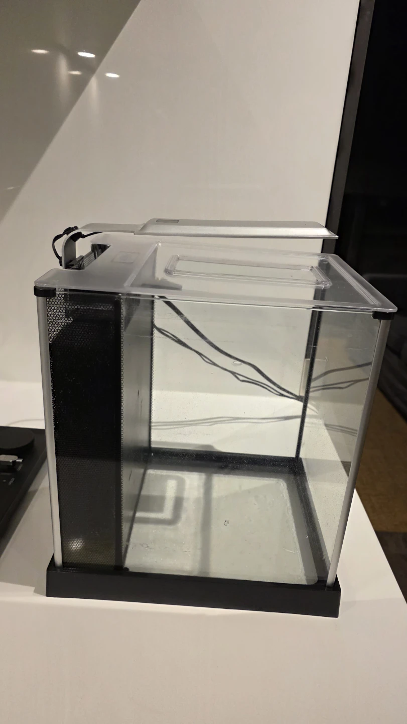 5 Gallon Fluval Betta tank - photo 4