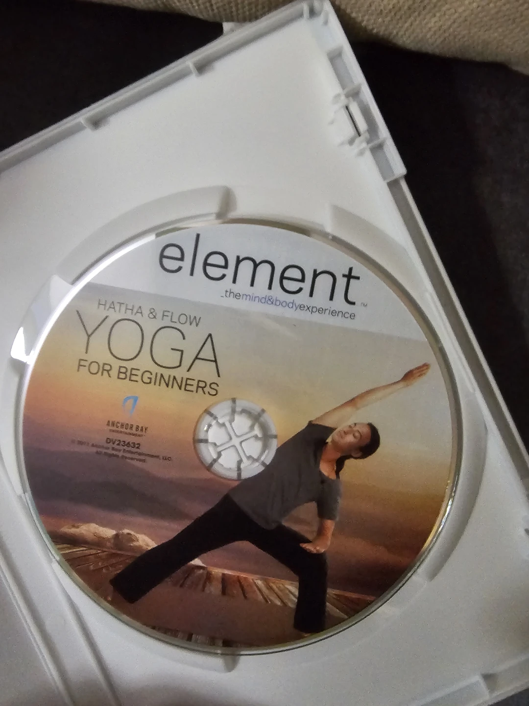 Element Hatha & Flow Yoga for Beginners DVD - photo 3