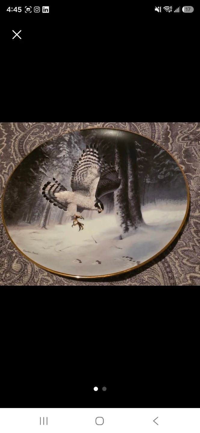 Collector's Edition Decorative Plate with Bird Art - photo 3