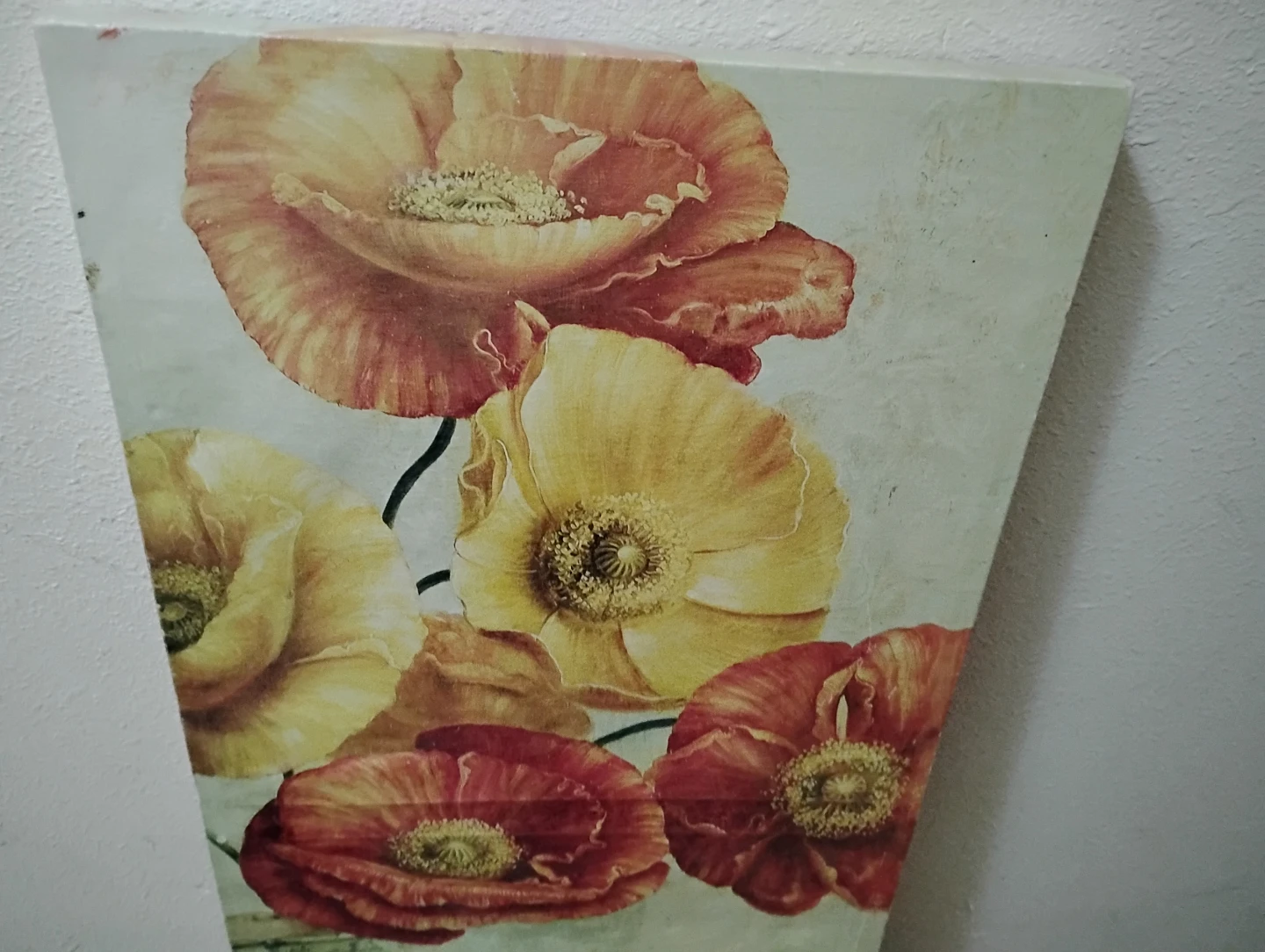 Poppy Picture
