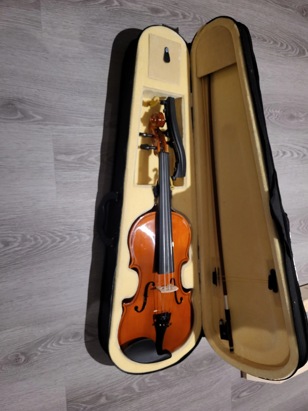 Full 4/4 Benjamin Adams Violin with Case and Bow