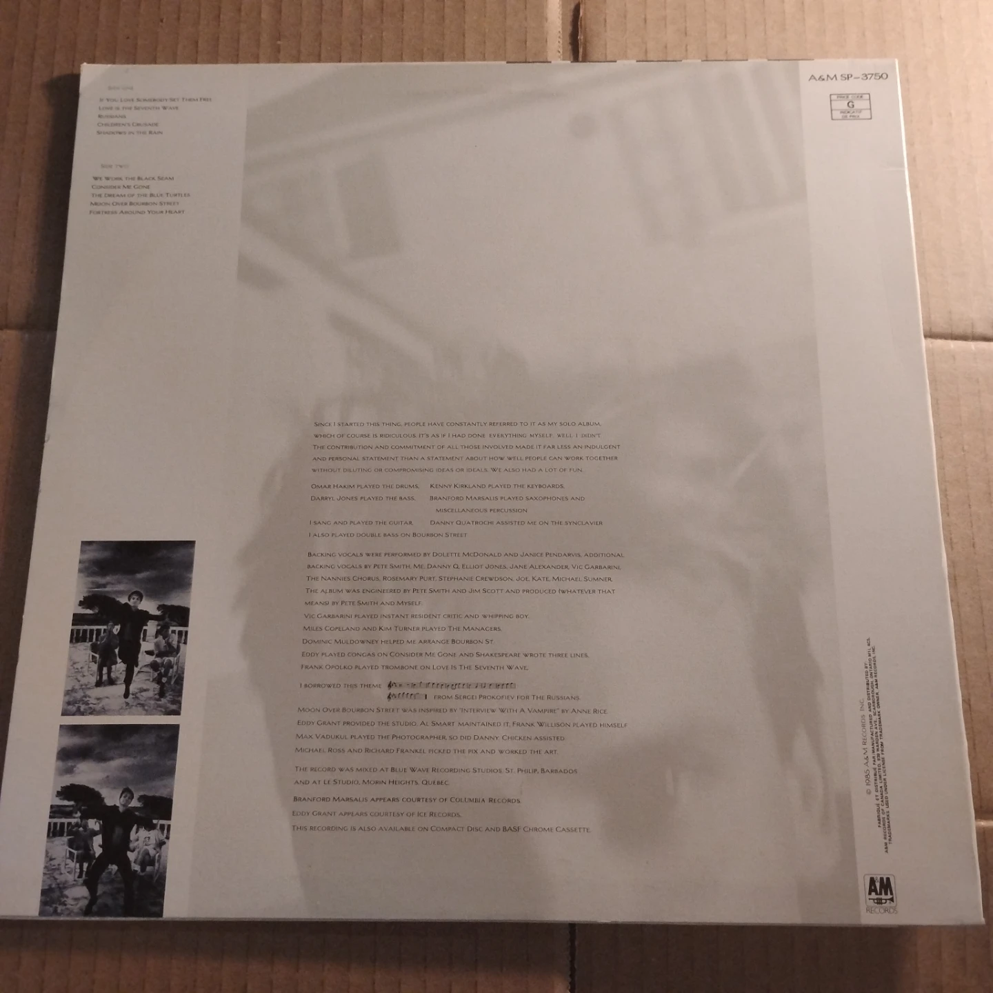 Sting The Dream of the Blue Turtles Vinyl Record - photo 2