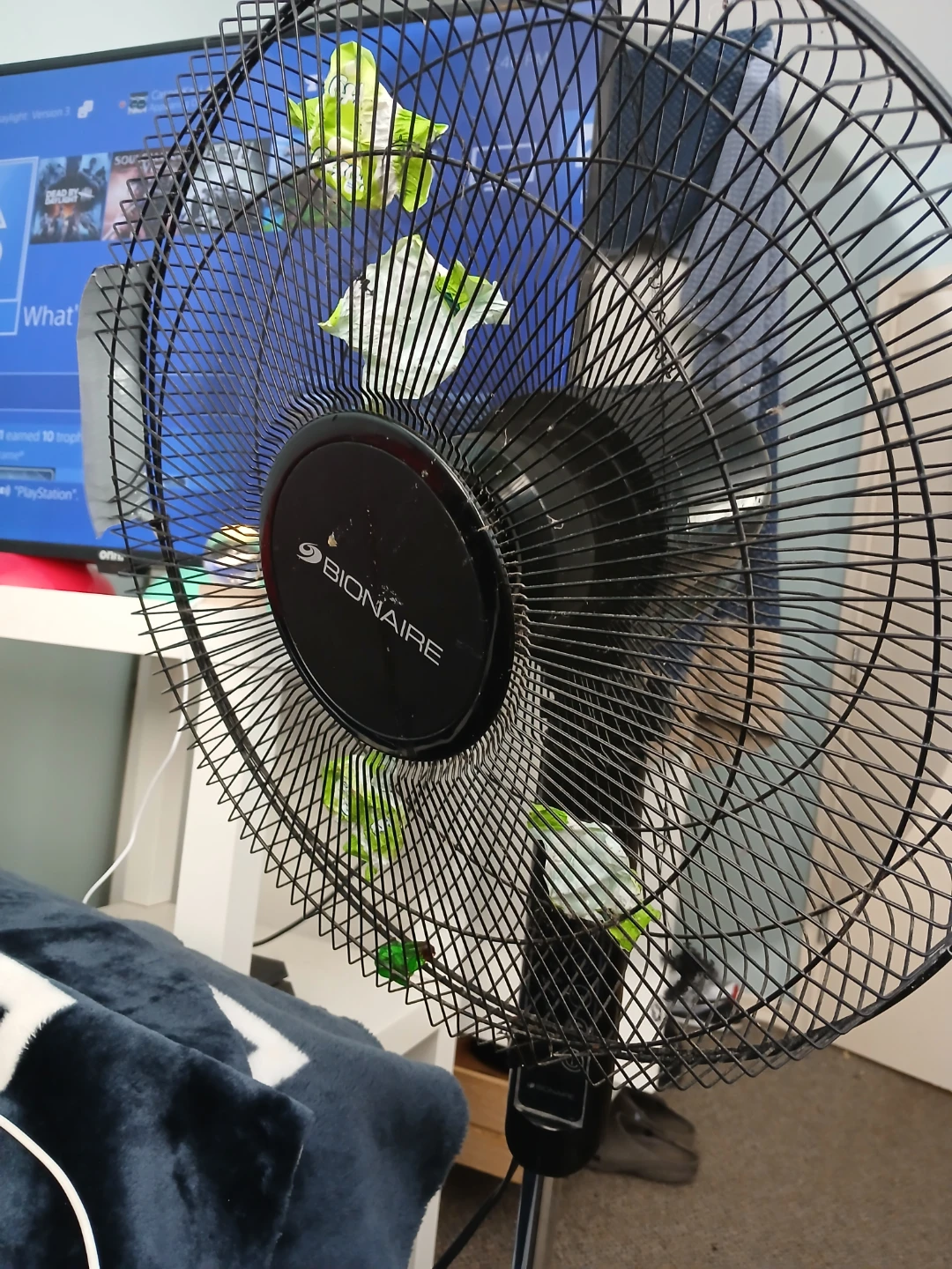 Marco's Chitter-chunder fan - photo 2