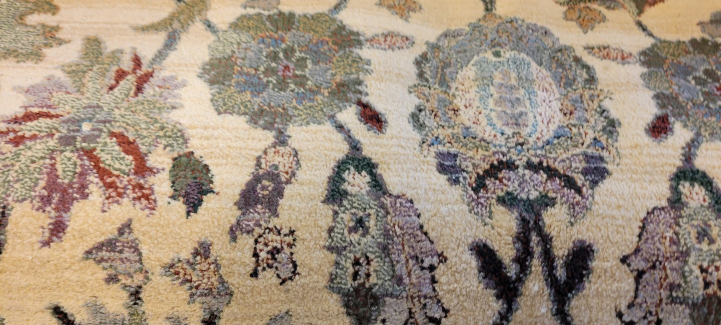 Vanini Collection Area Rug - photo 2