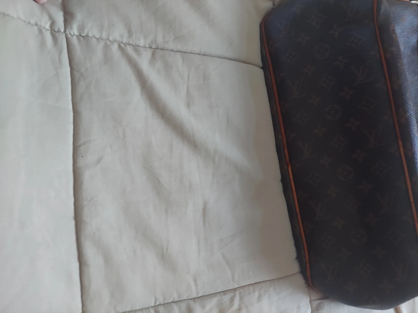 Louis Vuitton Large Monogram Hobo Bag - photo 4