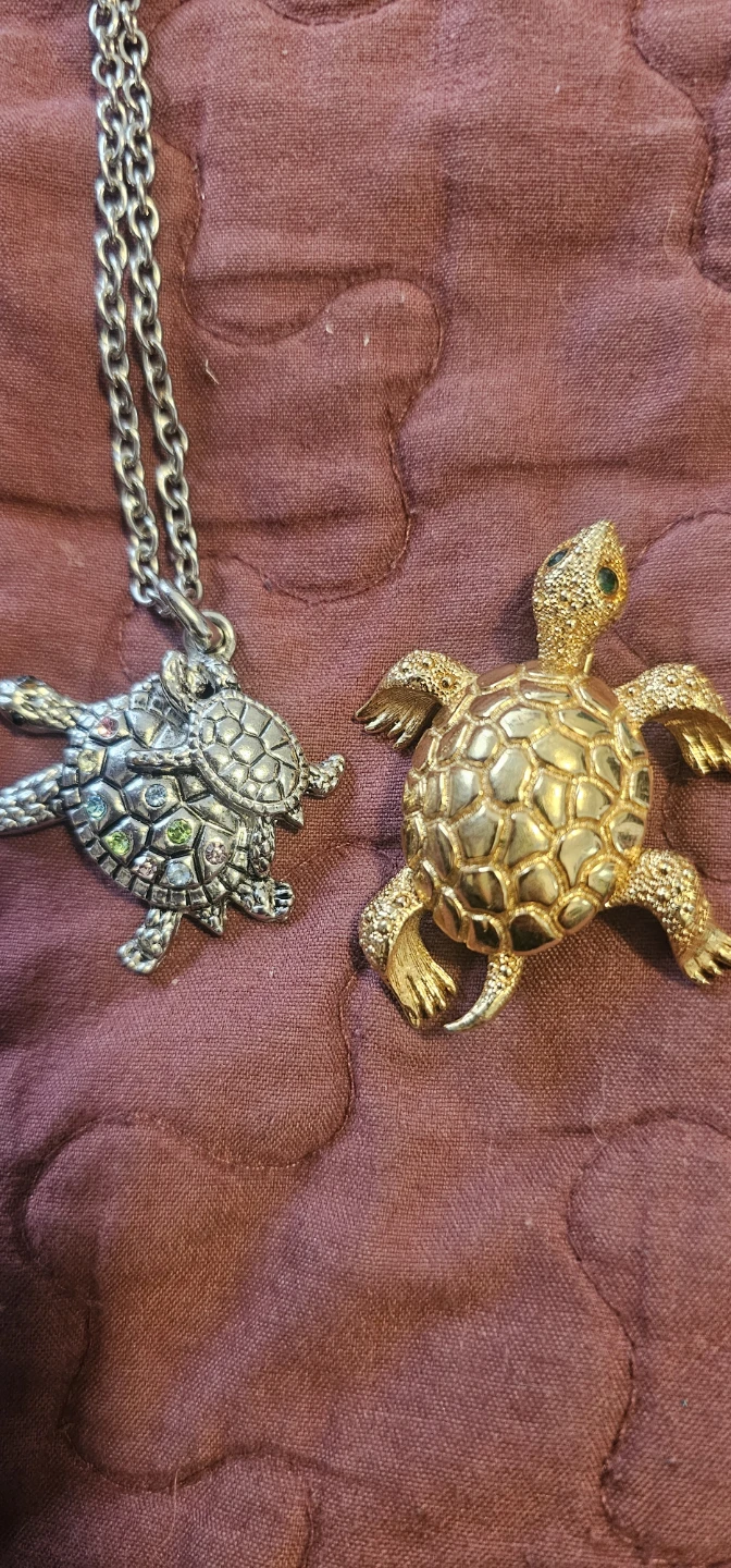 Turtles