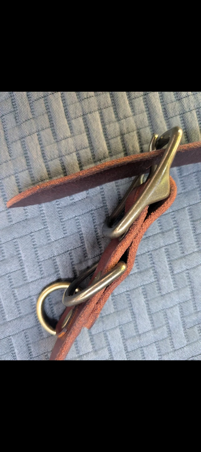 Pip Robins Leather Dog Collar - photo 4