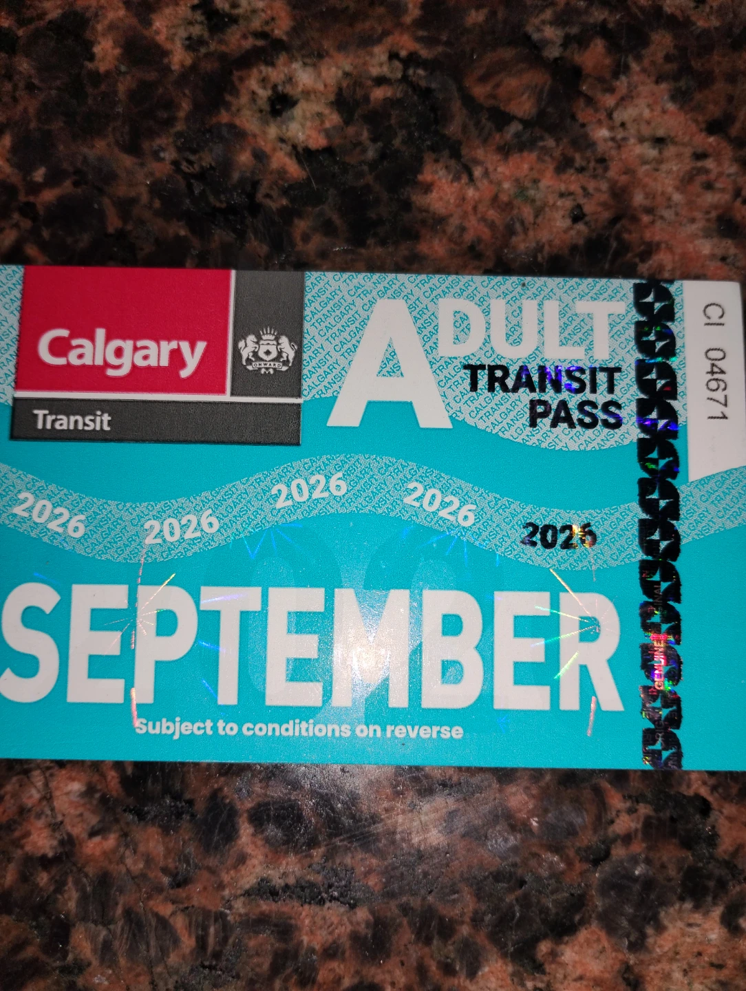 Calgary Transit Adult Pass - September 2026
