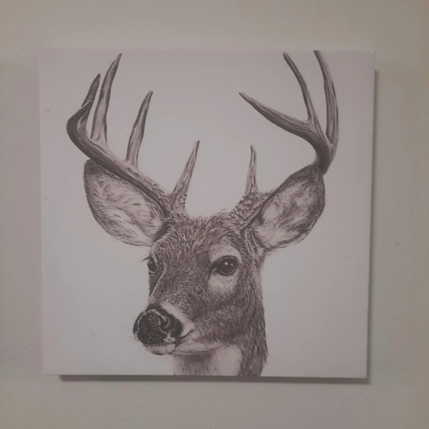 Set of 6 Animal Canvas Wall Art Prints 🏈 - photo 4