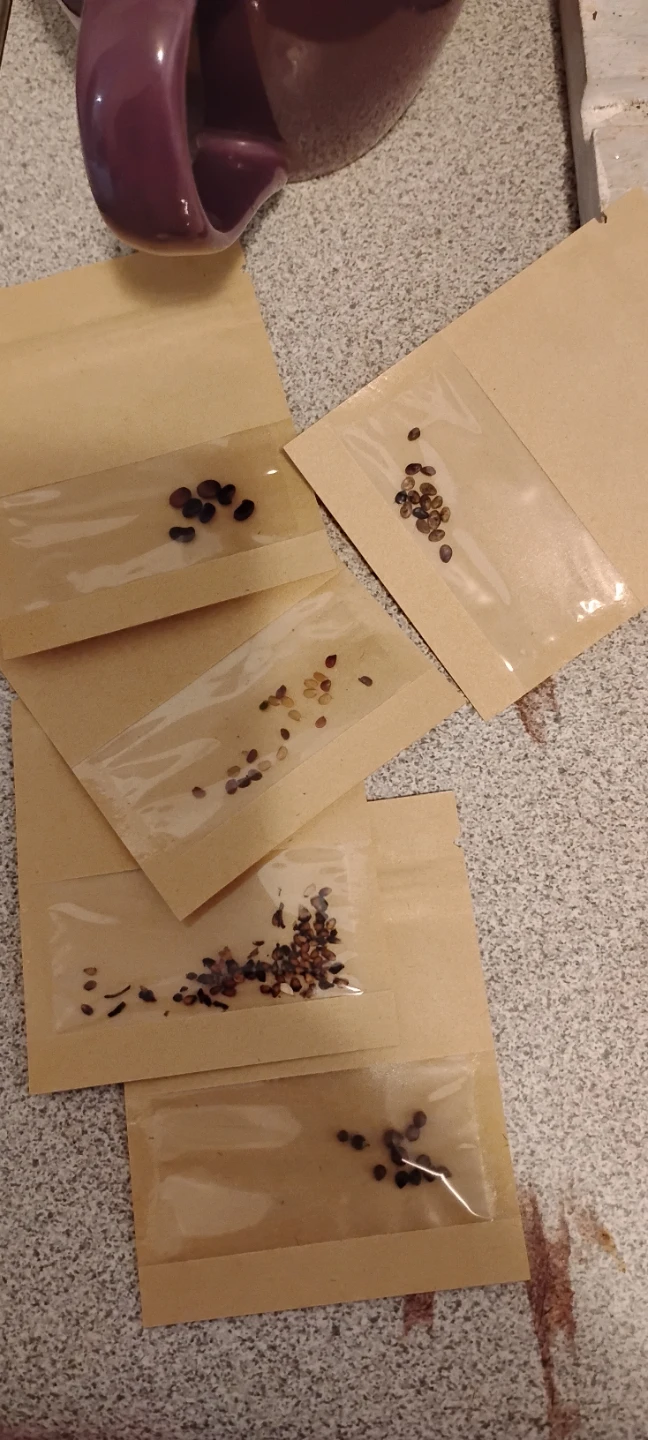 Assorted Garden Seed Packets