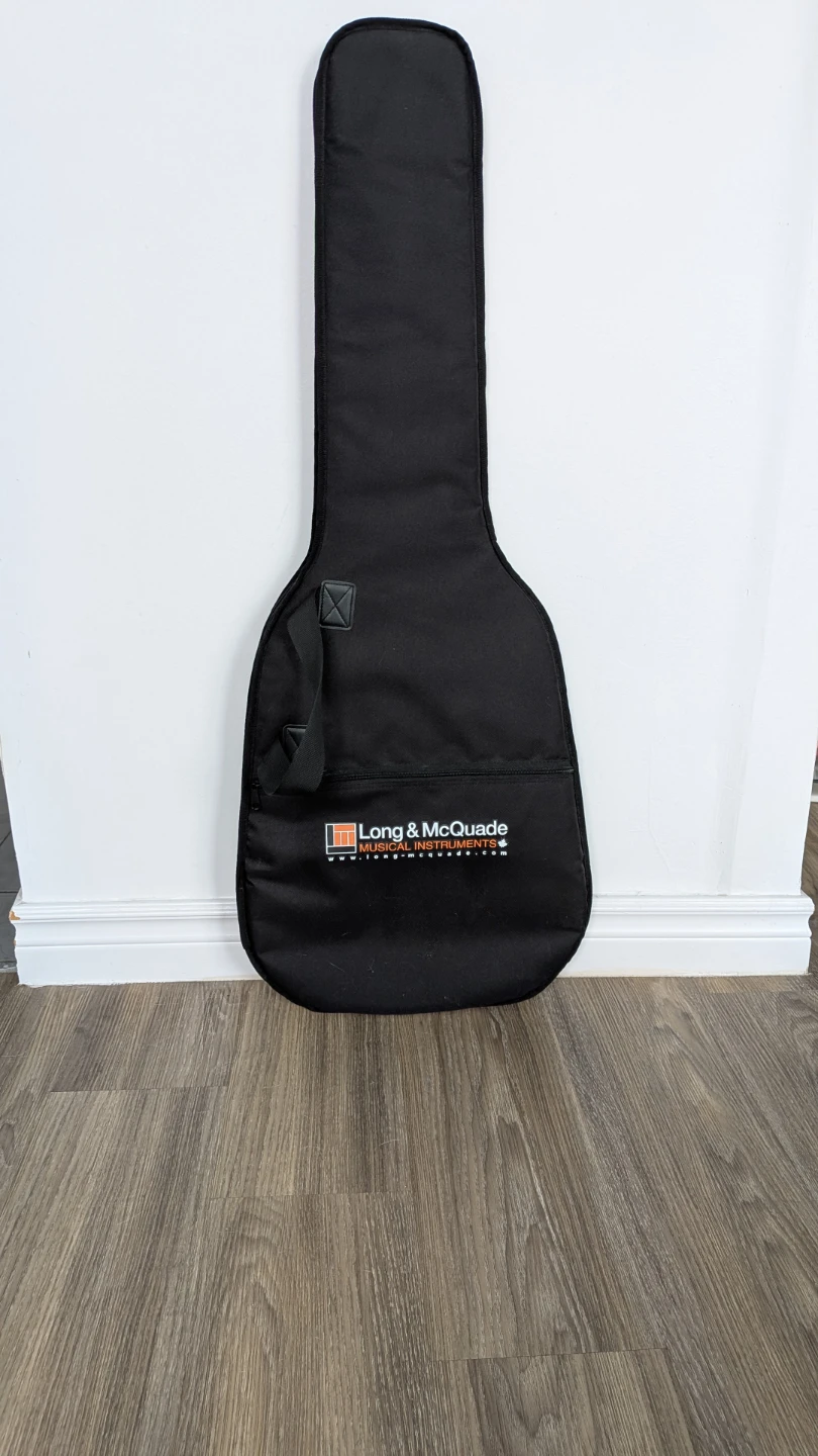 Guitar case