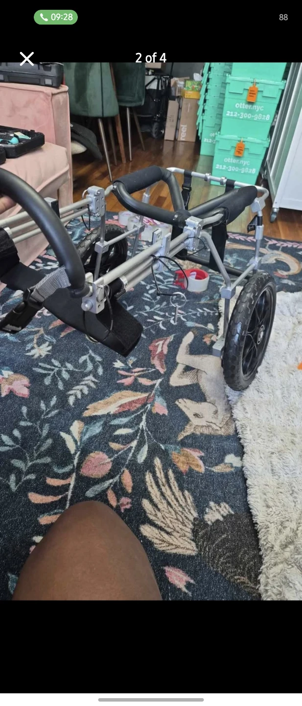 Eddies Wheels Dog Wheelchair - photo 2