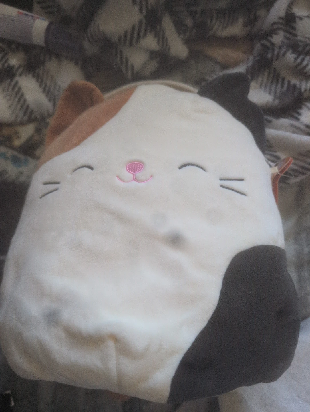 Squishmallows Calico Cat halloween bag