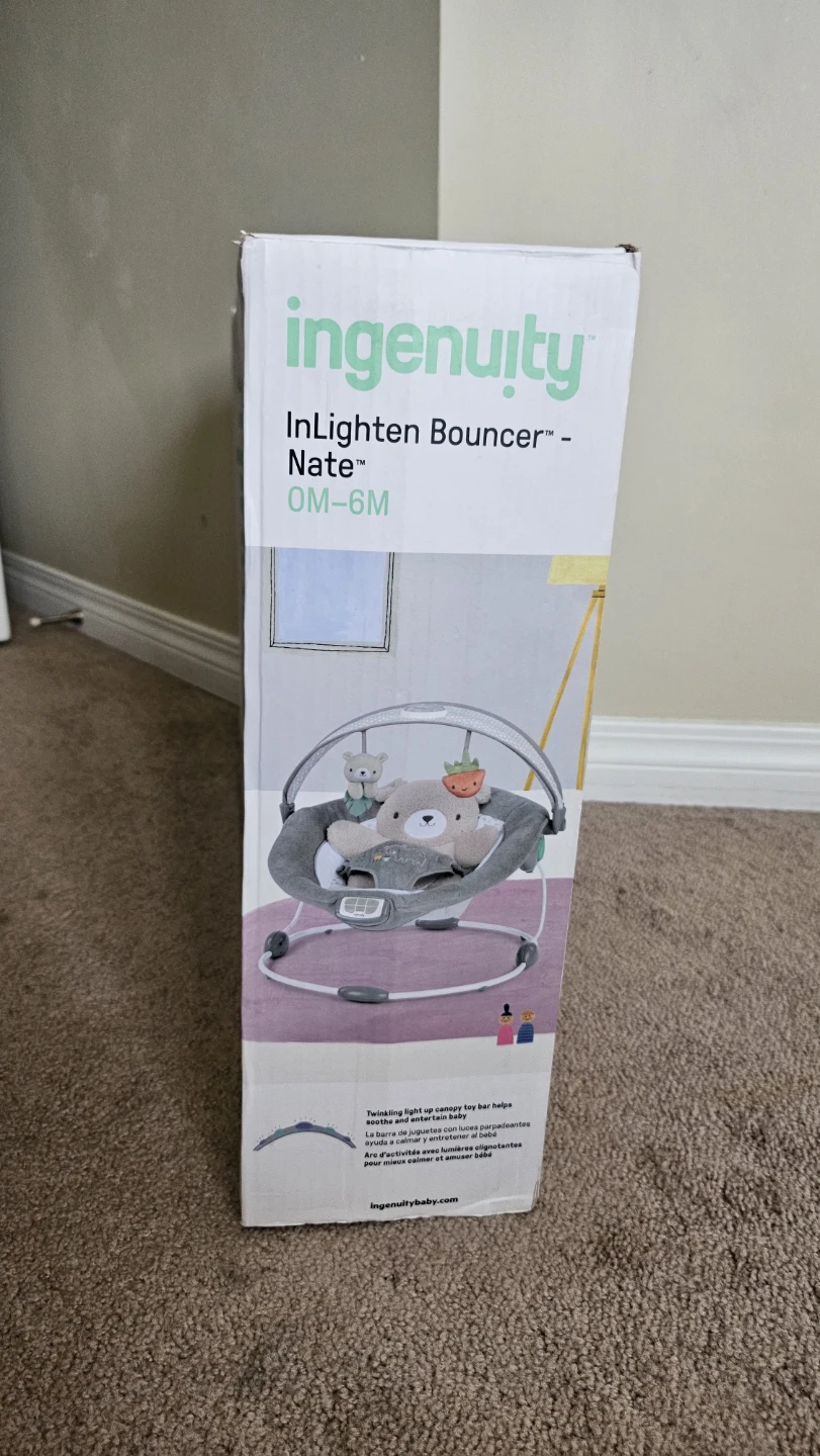 Ingenuity InLighten Bouncer - Nate - photo 3