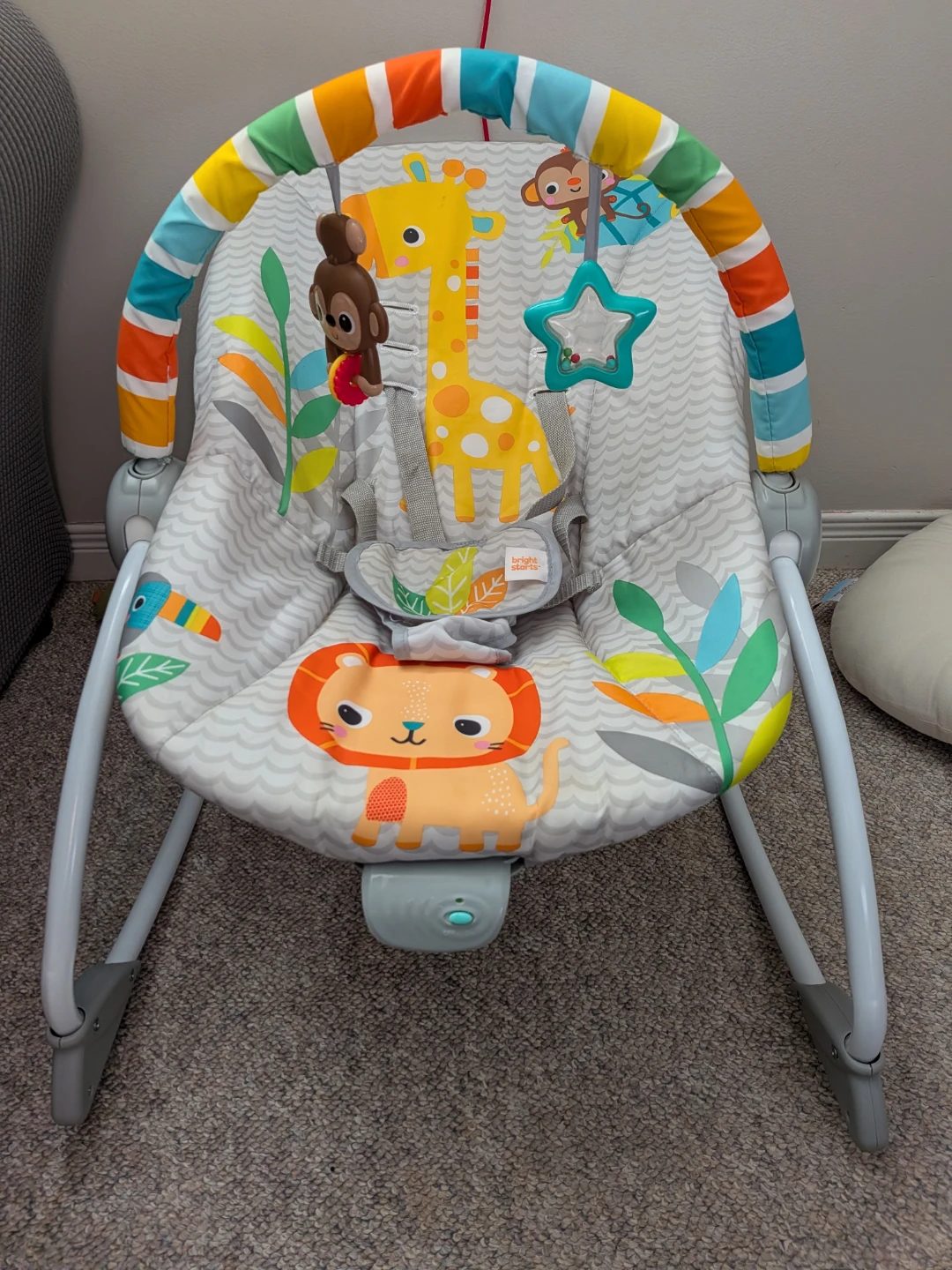 Bright Starts Baby Bouncer