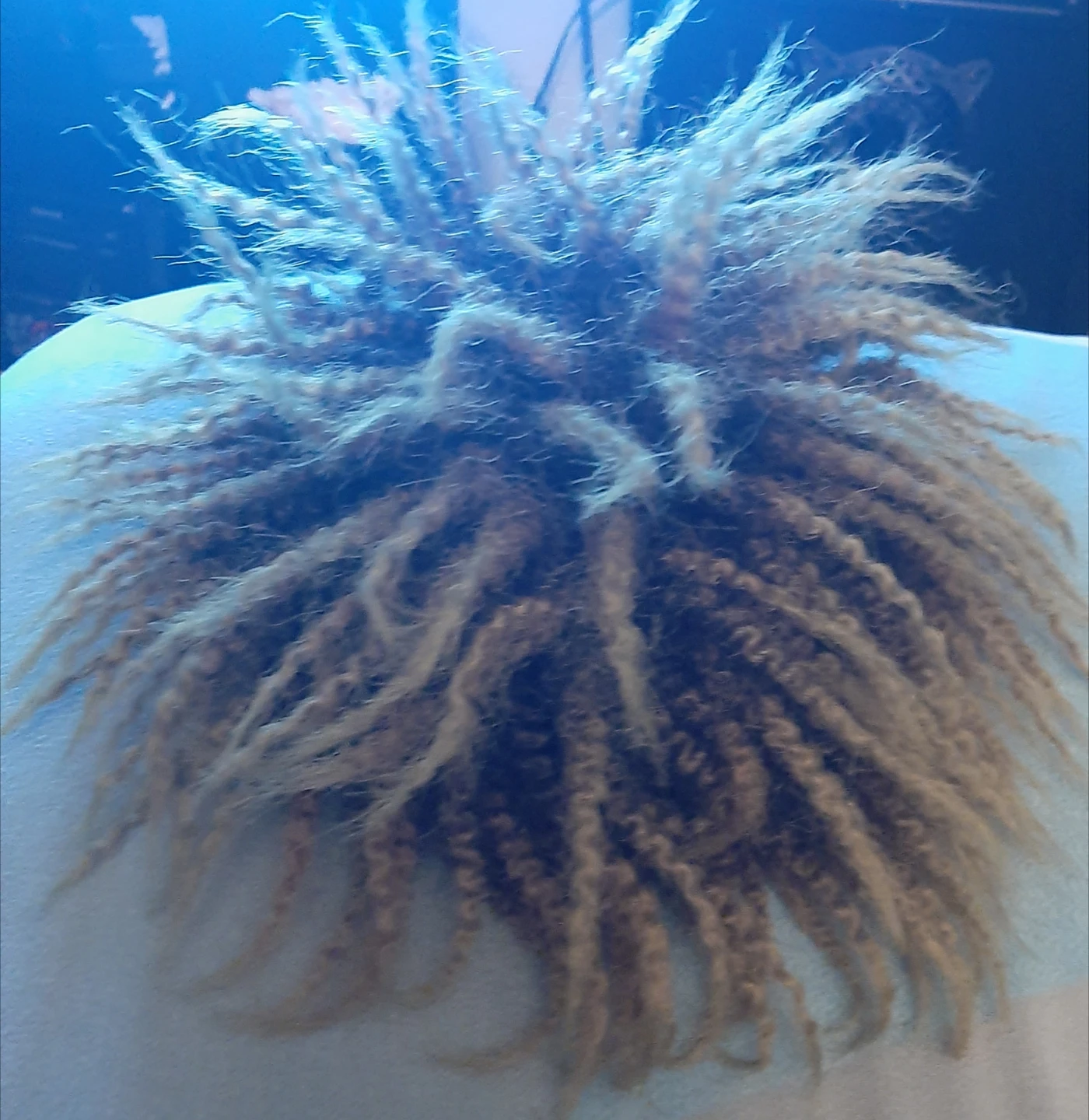 Synthetic Curly Hair Bun Extension - photo 2