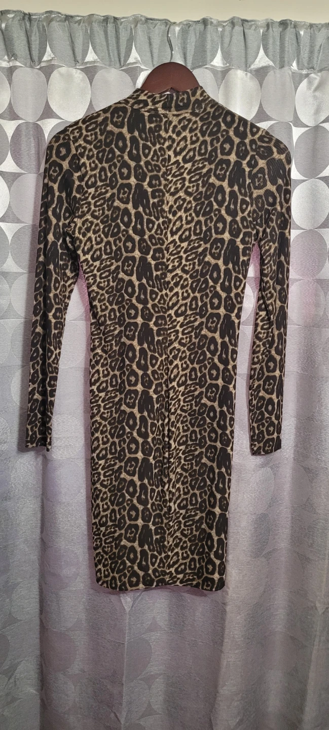 Leopard Print Long Sleeve Dress