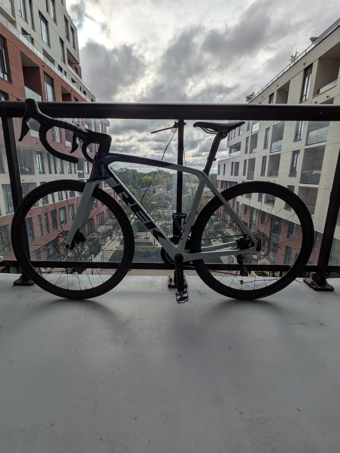 TREK EMONDA SL 6 54 GY-PR 2024