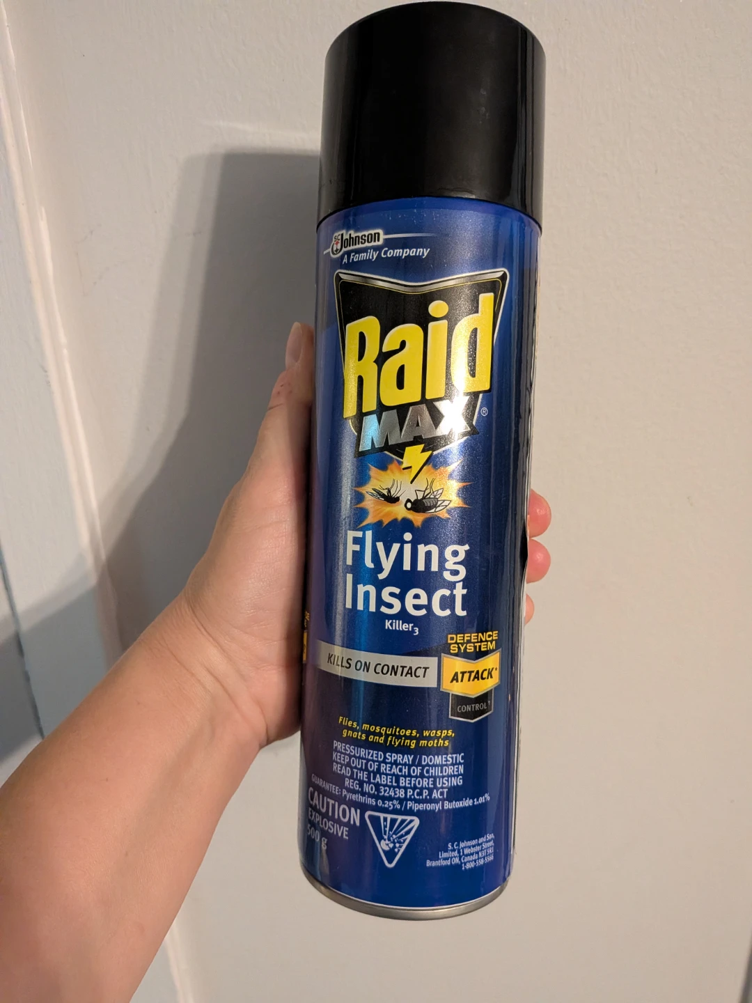 Big bottle Raid Max Flying Insect Killer 500g