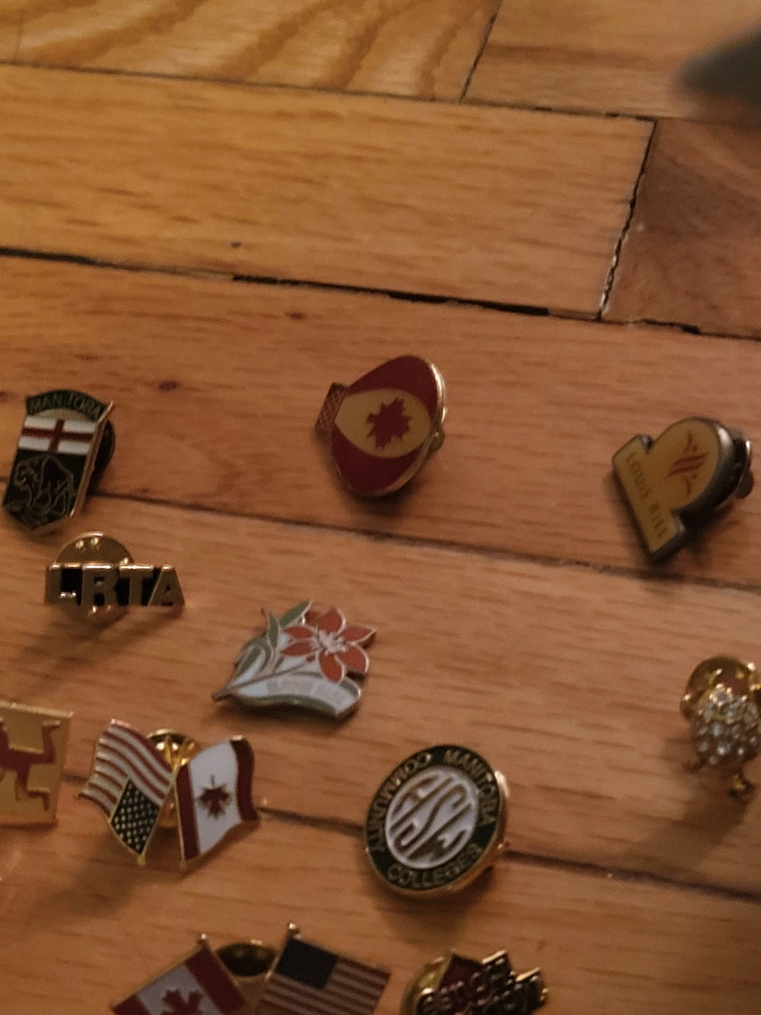 Collection of Assorted Lapel Pins - photo 5
