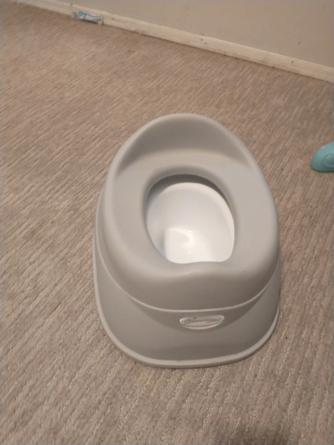 Dreambaby Toilet Trainer Seat with Potty - photo 2