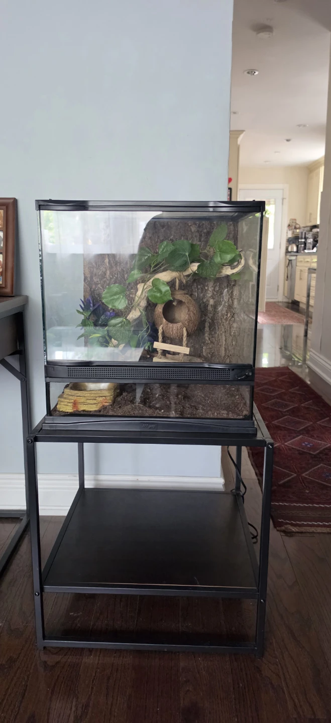 25 Gallon 18” x 18” x 18” Terrarium + Stand & Accessories - photo 4