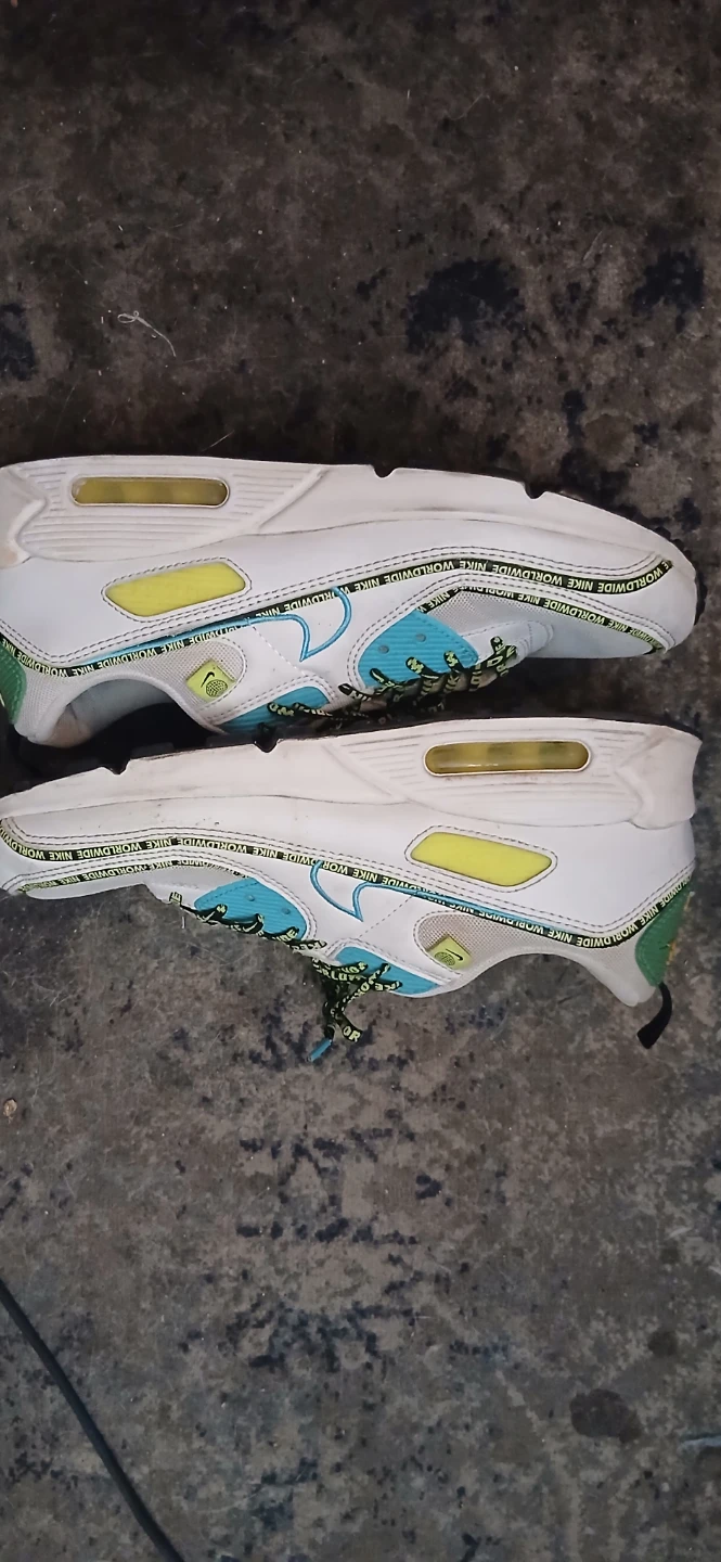 Nike Air Max 90 Worldwide Sneakers