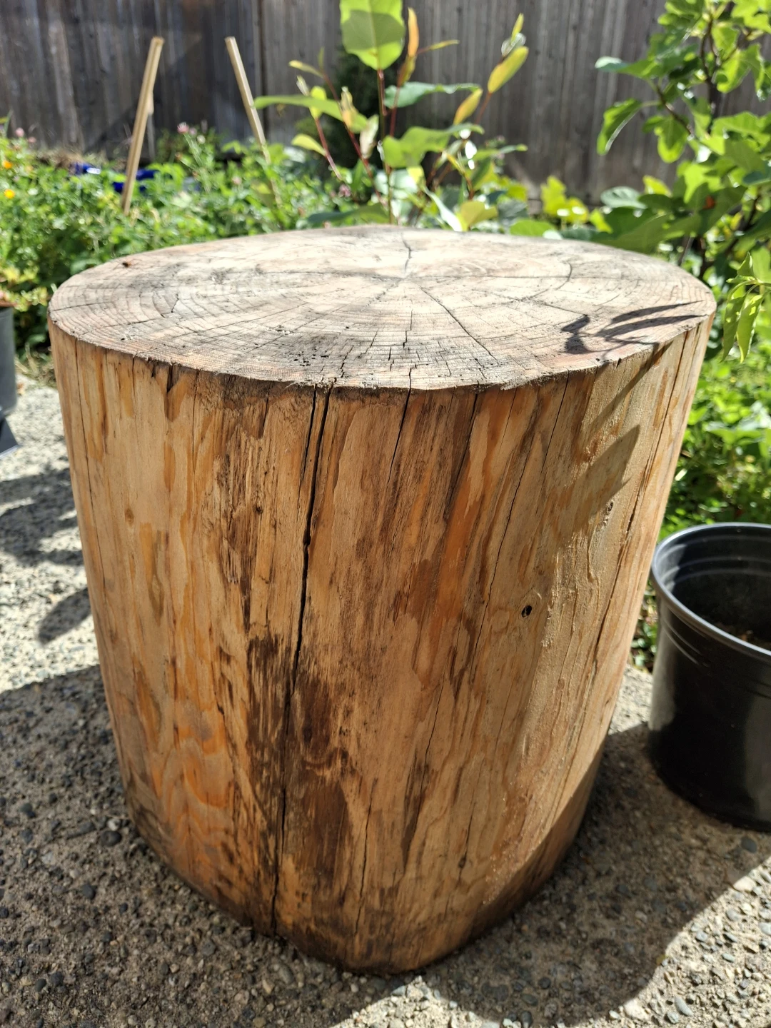 Natural Wood Log Side Table - photo 4