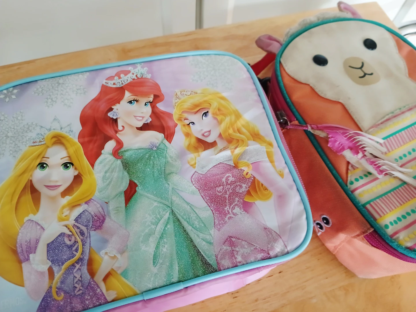 FREE Disney Princess and Llama Lunch Bags - photo 2