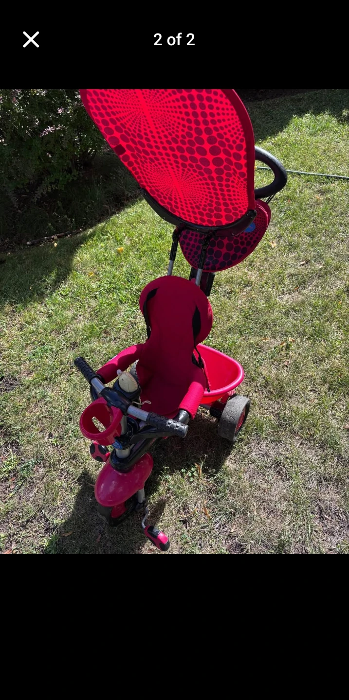 Kids Tricycle with Canopy