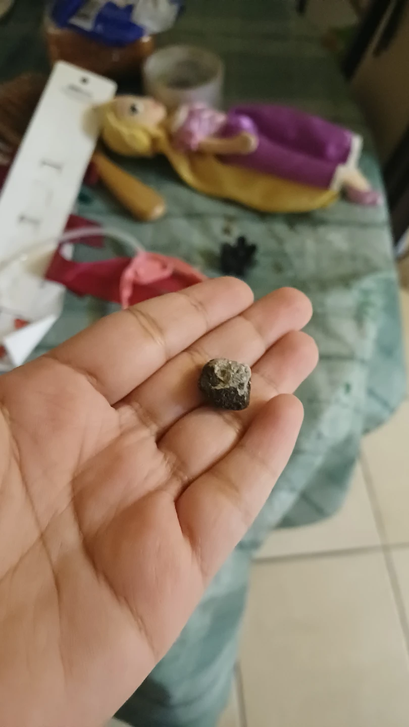 Small dark textured stone