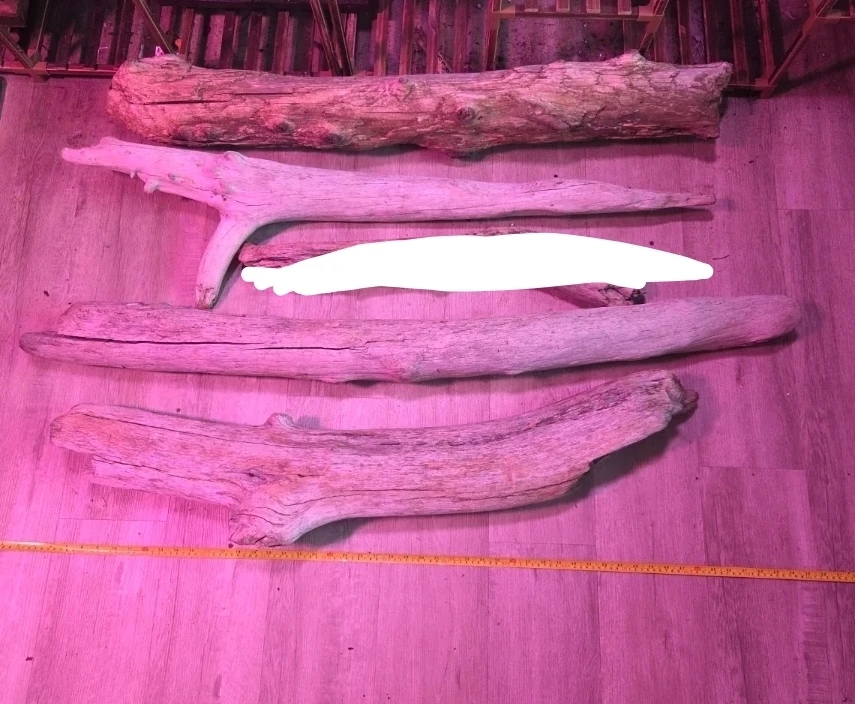 Natural Driftwood Pieces 🏈