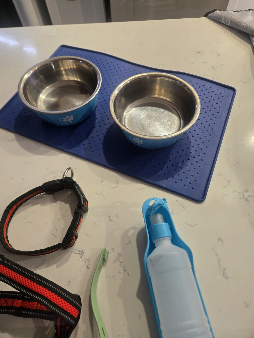 Dog starter kit with bowls, harness, and accessories - photo 3