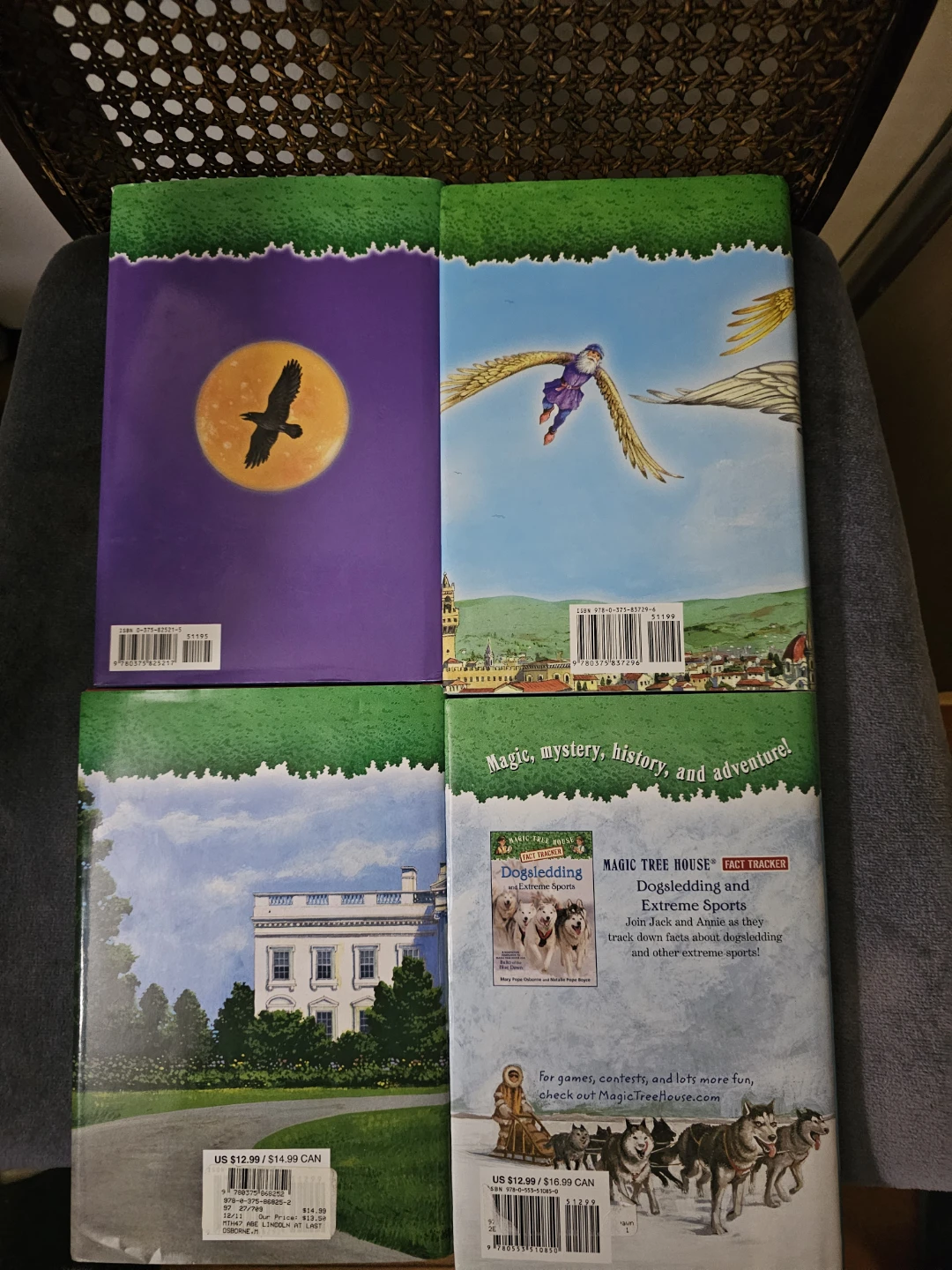4 Magic Tree House Books - photo 2